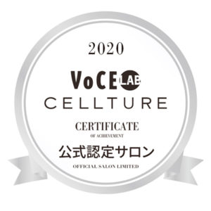 ヴォーチェロゴ