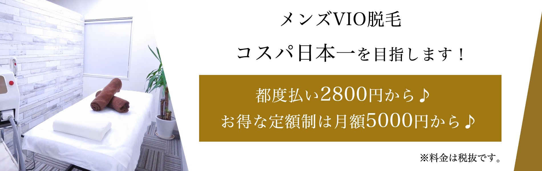 メイン画像2